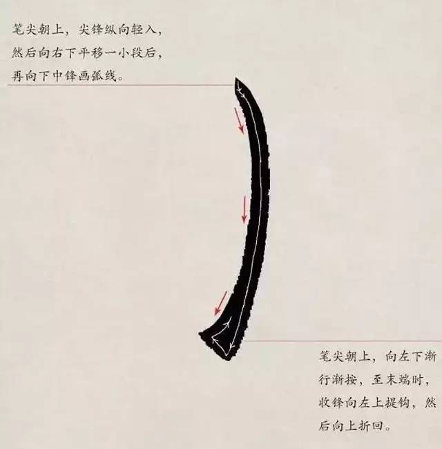 欧体入门｜基本笔画学习 书画知识 第11张