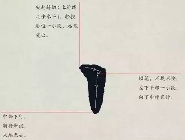 欧体入门｜基本笔画学习 书画知识 第17张