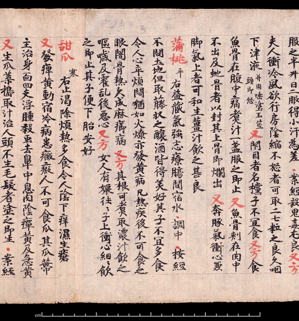 敦煌书法《 食疗本草》 书画知识 第5张-墨韵书香 敦煌书法《 食疗本草》 书画知识 第5张