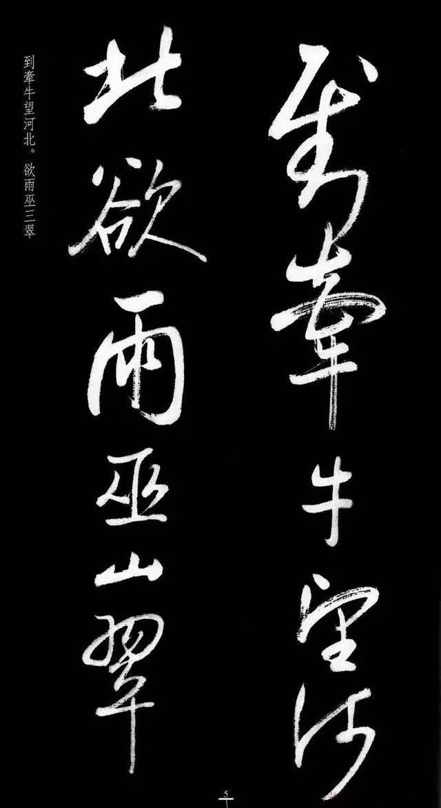 漂亮！启功临八大山人《荷上花 》 书画知识 第4张