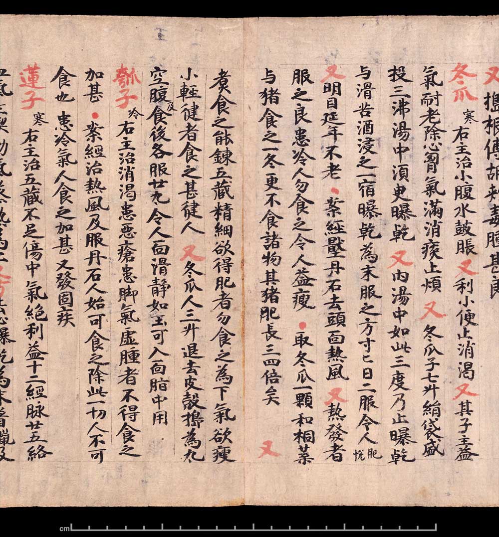 敦煌书法《 食疗本草》 书画知识 第7张-墨韵书香 敦煌书法《 食疗本草》 书画知识 第7张