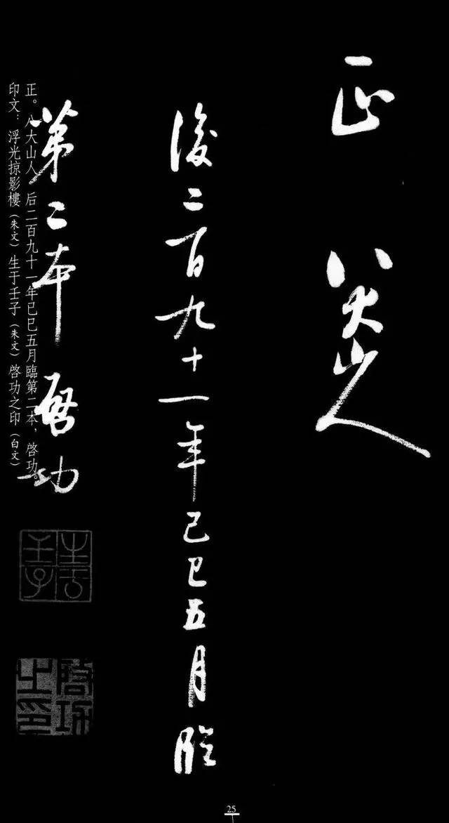 漂亮！启功临八大山人《荷上花》 书画知识 第24张