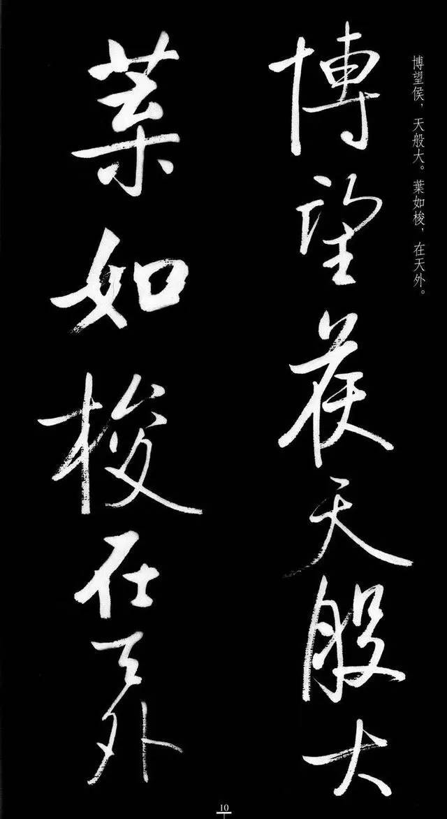 漂亮！启功临八大山人《荷上花 》 书画知识 第9张