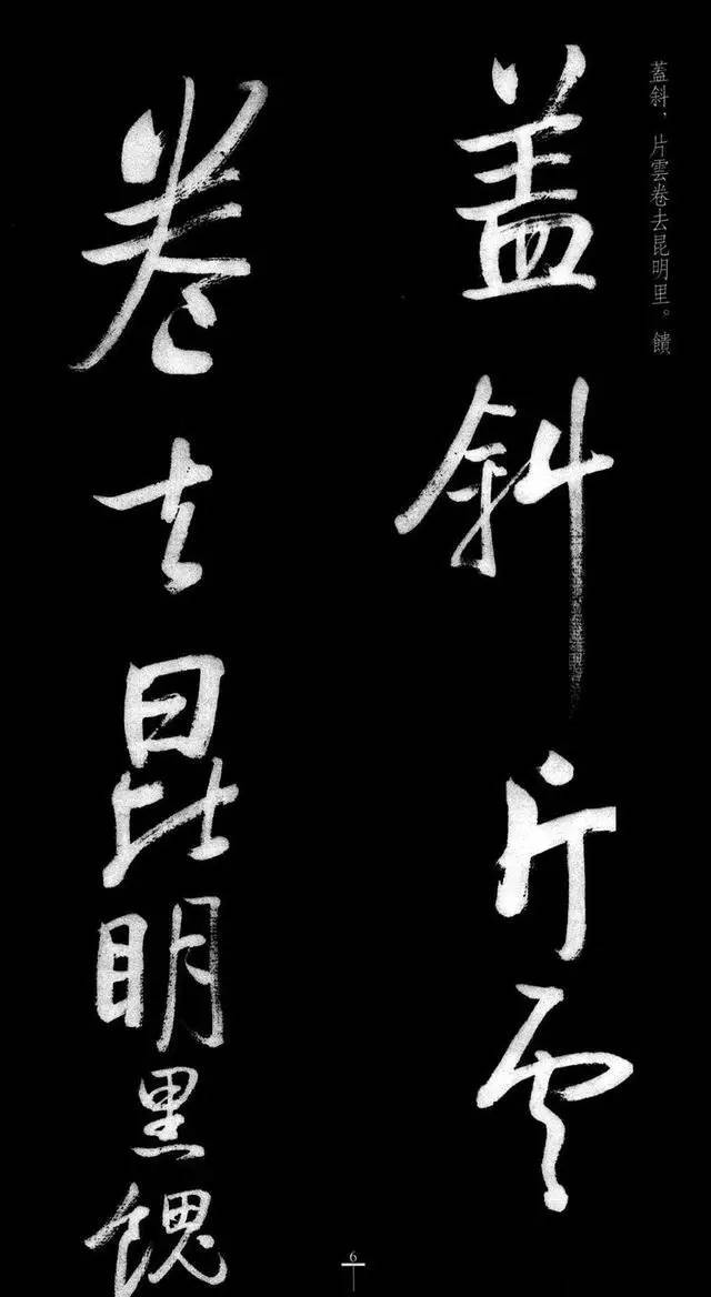 漂亮！启功临八大山人《荷上花》 书画知识 第5张
