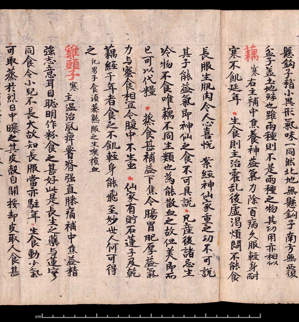 敦煌书法《 食疗本草》 书画知识 第10张-墨韵书香 敦煌书法《 食疗本草》 书画知识 第10张