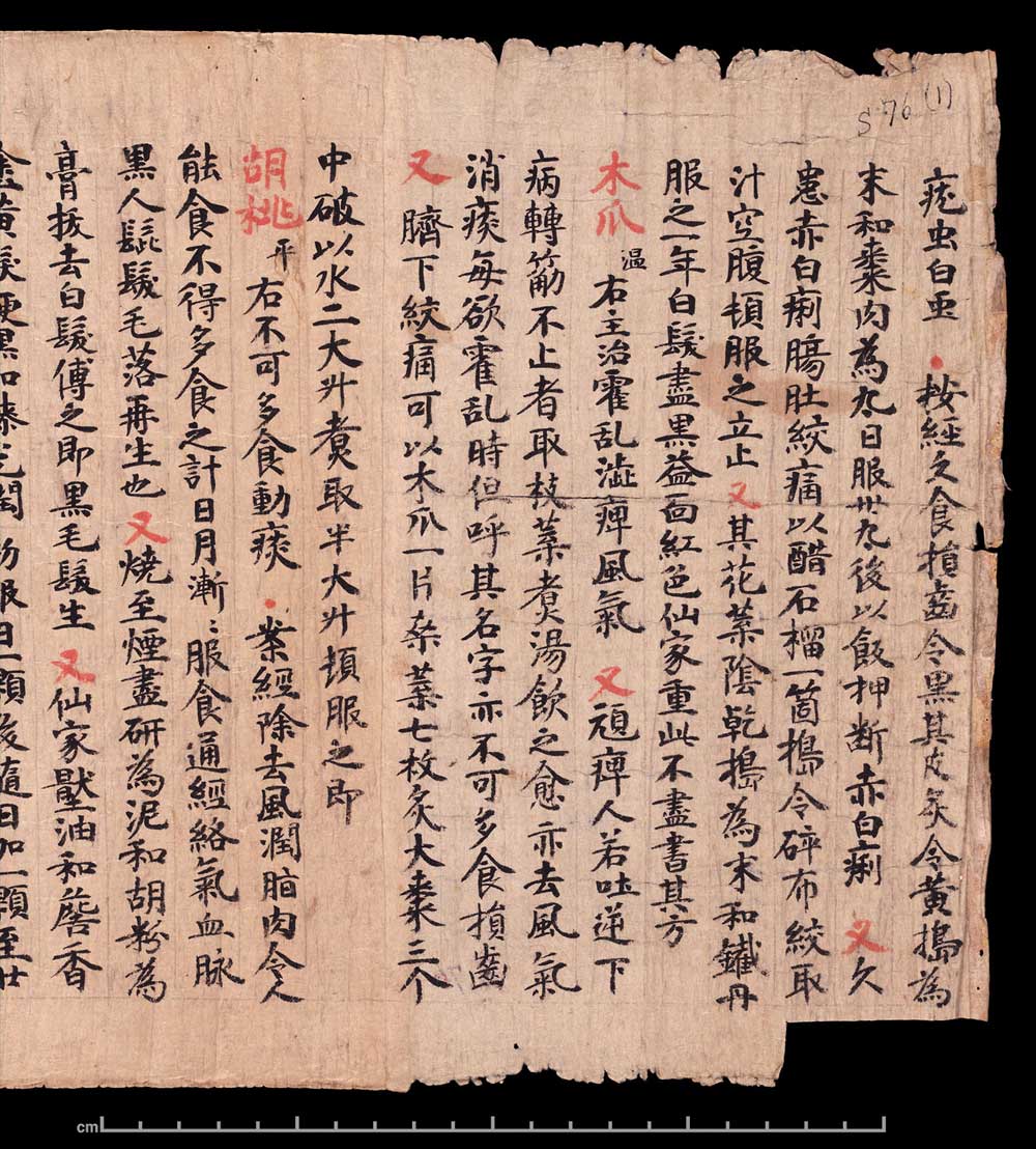 敦煌书法《 食疗本草》 书画知识 第2张-墨韵书香 敦煌书法《 食疗本草》 书画知识 第2张
