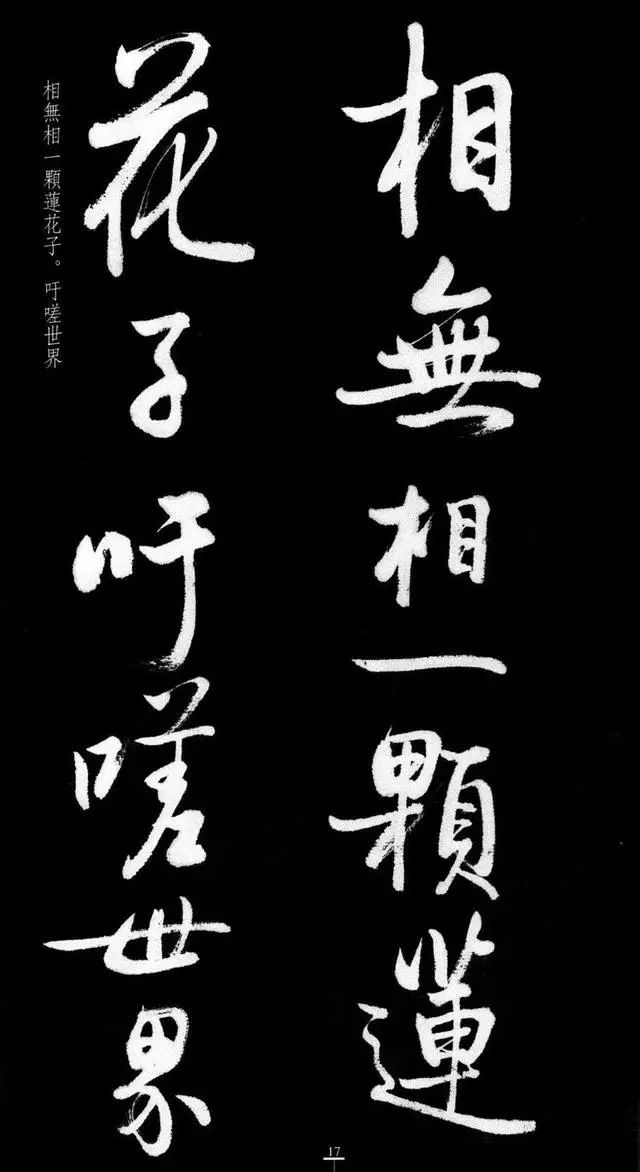 漂亮！启功临八大山人《荷上花 》 书画知识 第16张