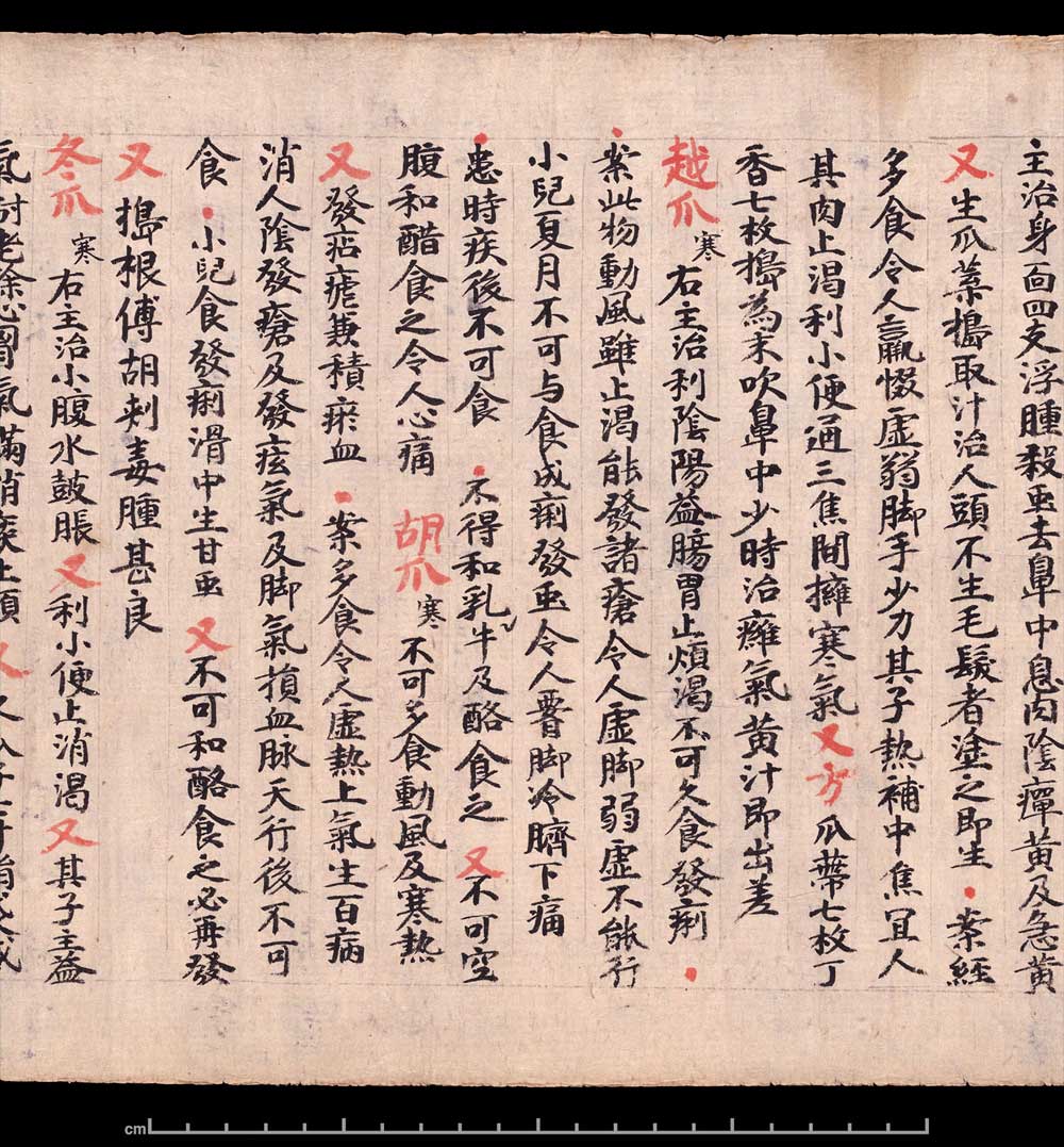 敦煌书法《 食疗本草》 书画知识 第6张-墨韵书香 敦煌书法《 食疗本草》 书画知识 第6张