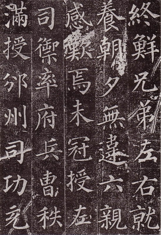 颜真卿最早的书法作品--《郭虚已墓志》 历代书法 第17张-墨韵书香 颜真卿最早的书法作品--《郭虚已墓志》 历代书法 第17张