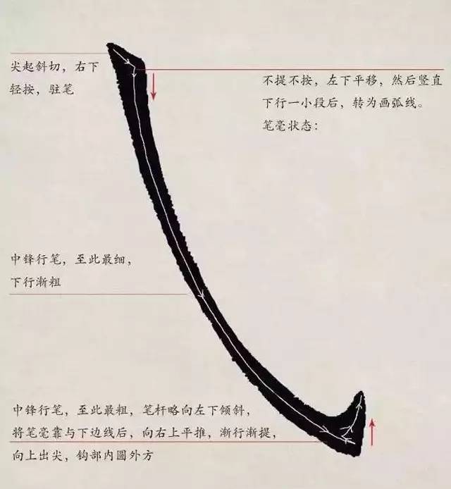 欧体入门｜基本笔画学习 书画知识 第24张