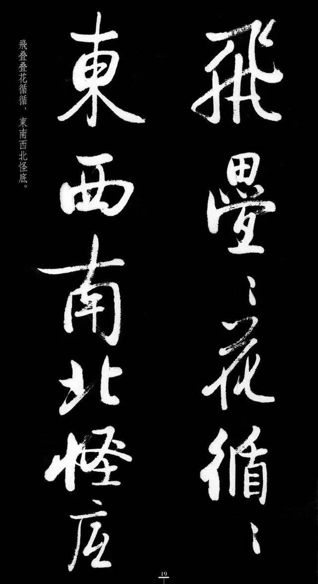 漂亮！启功临八大山人《荷上花》 书画知识 第18张