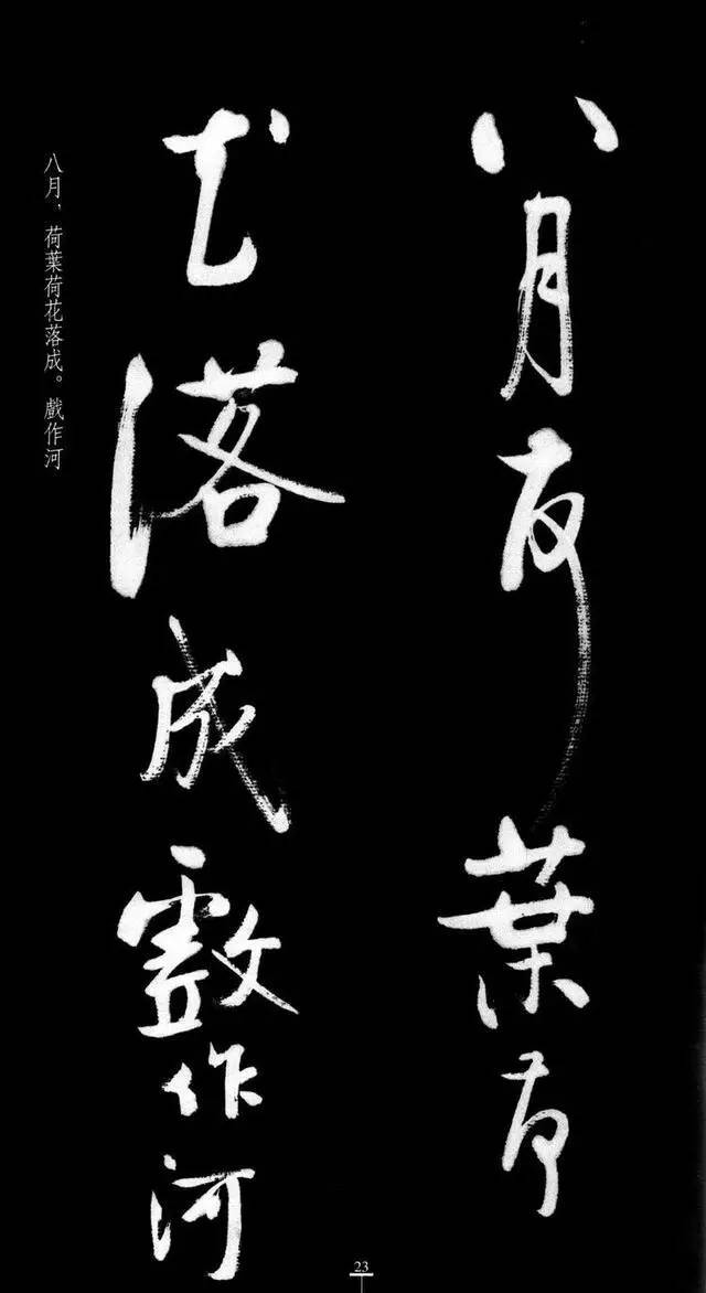 漂亮！启功临八大山人《荷上花》 书画知识 第22张