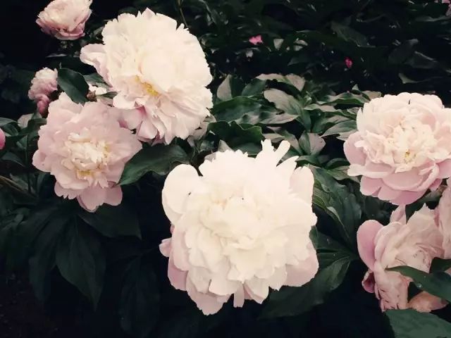 古人也常写错字，才不是一句“通假”就可以解释过去的！ 书画知识 第15张