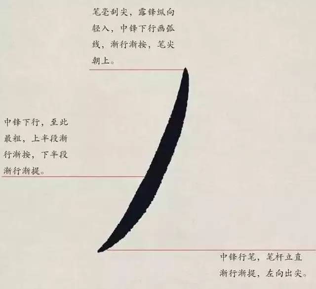 欧体入门｜基本笔画学习 书画知识 第10张