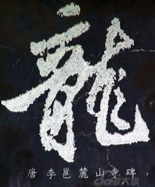 难得一见,古今中外